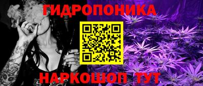 сатива Кулебаки