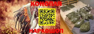 сатива Кулебаки