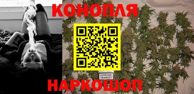 сатива Кулебаки