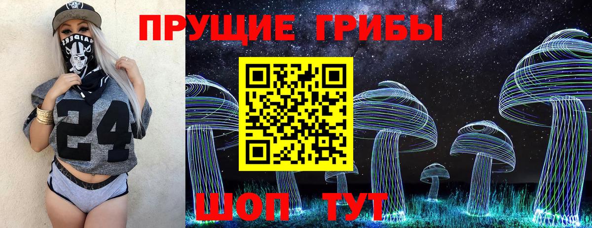 Псилоцибиновые грибы Psilocybine cubensis Хабаровск