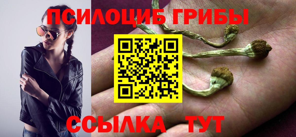Хабаровск  Псилоцибиновые грибы Psilocybine cubensis  Псилоцибиновые грибы GOLDEN TEACHER  Вход с VPN 